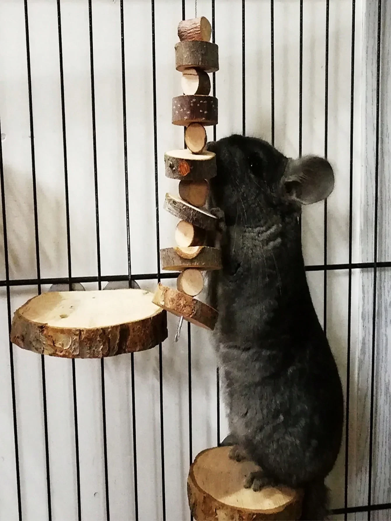 Hamster-Kaninchen-Kauspielzeug – Woodworking Rabbet Bewertung und Preis